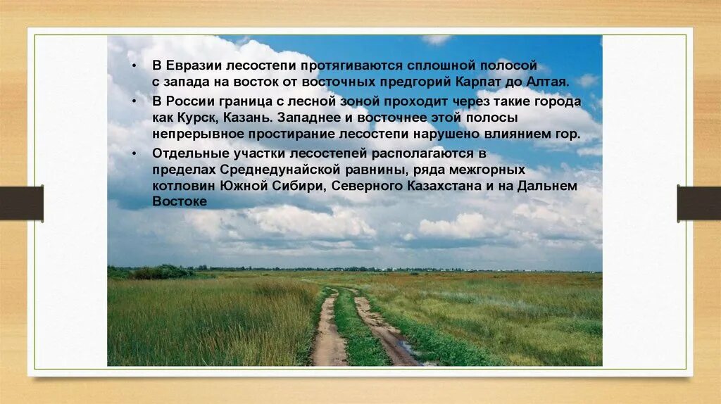 Климатический пояс лесостепи в россии. Лесостепь презентация. Степи и лесостепи презентация. Степи и лесостепи проект. Лесостепь доклад.