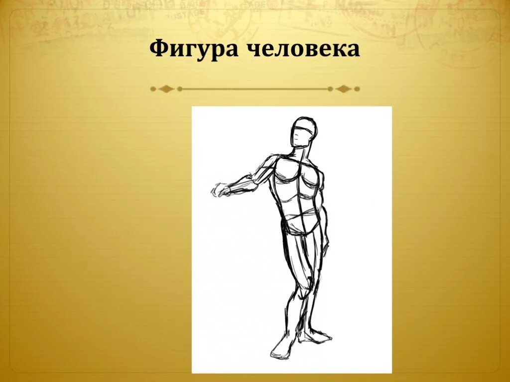 Фигура человека. Изображение фигуры человека. Фигура человека рисунок. Фигура человека для рисования.