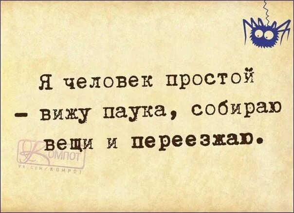 Чем проще было что он видел. Я человек простой вижу паука собираю вещи и переезжаю. Вижу паука переезжаю. Я когда увидел паука. Я человек простой вижу паука переезжаю картинка.