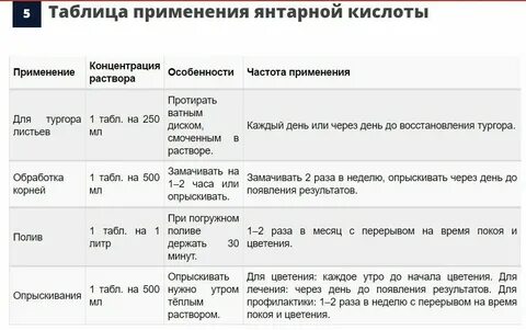 Можно подкормить цветы янтарной кислотой