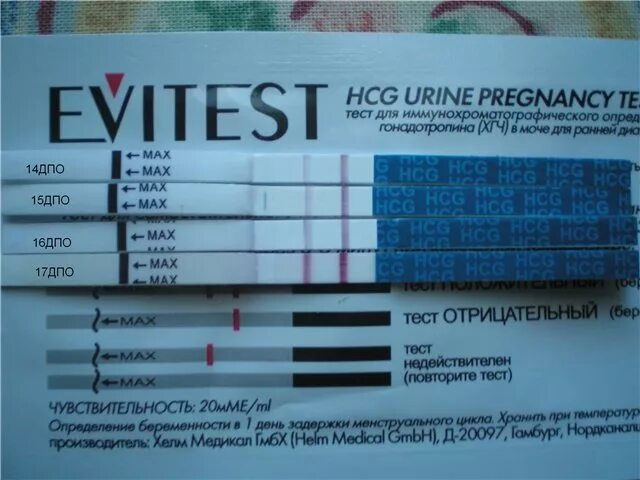 На 10 день после зачатия тест покажет. Тест на беременность. Тесты на беременность по дням. Отрицательный тест на беременность. Тесты по дням задержки.