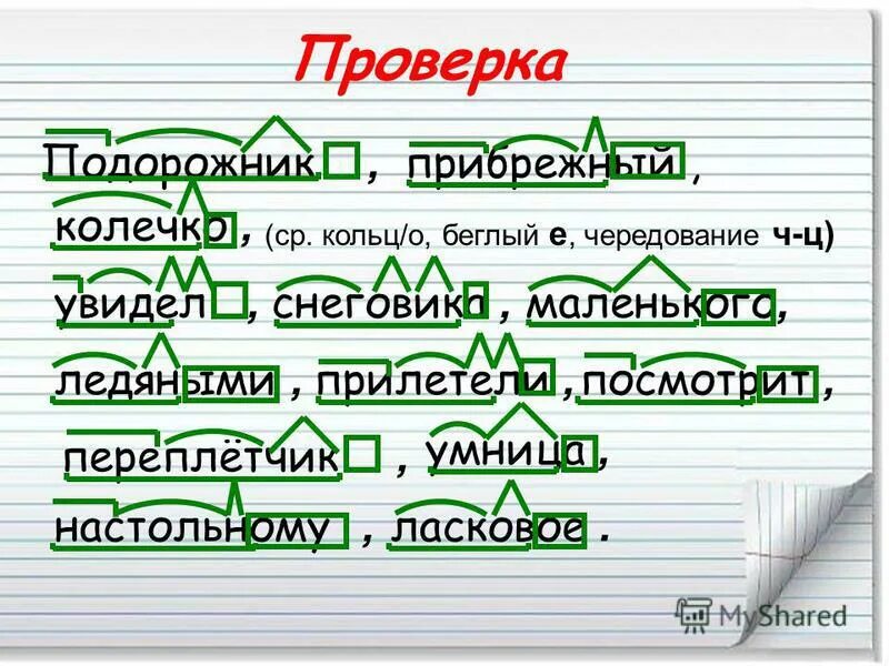 Подорожник по составу разобрать. Разбери по составу подорожник. Разобрать слово по составу подорожник. Разобрать слово подорожник.