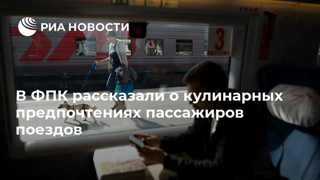 Скидка пенсионерам на жд билеты дальнего следования. Правила пассажиров в поезде. Правила проезда пассажиров в поездах. Правила проезда в поездах дальнего следования. Правила РЖД.