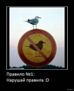 Правит но