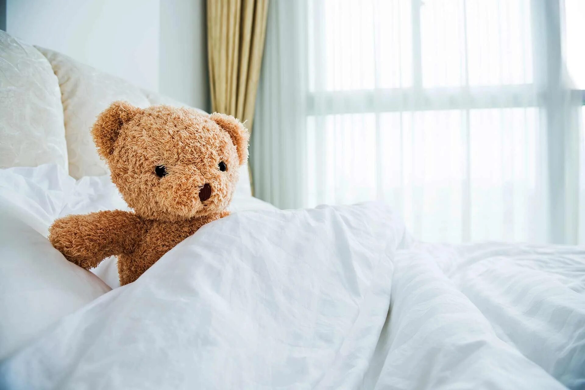 The teddy is on the bed