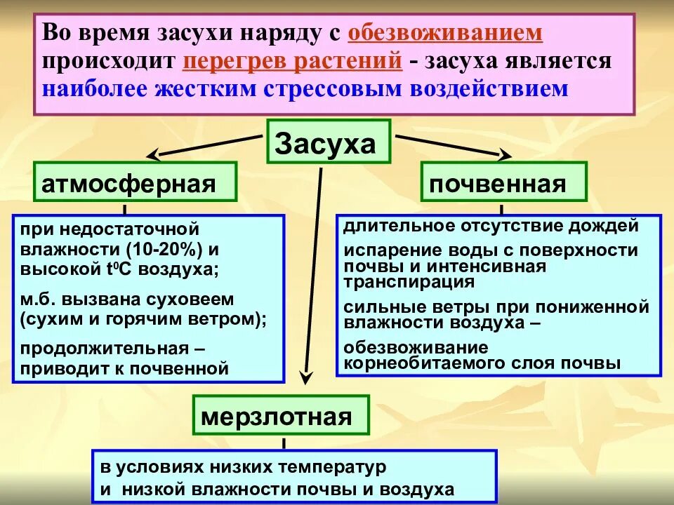 В виду длительной засухи мы часто. Причины возникновения засухи. Условия формирования засухи. Засуха характеристика. Причины появления засухи.