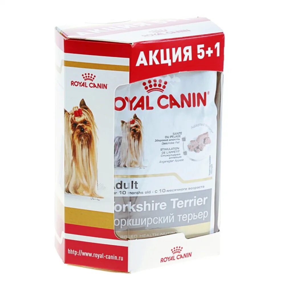 Роял Канин 1,5 Йорк. Royal Canin паучи для йоркширского терьера. Роял Канин паштет для собак. Роял Канин для йорков паштет.