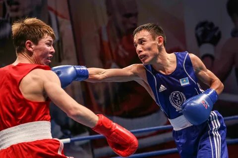 Бокс чемпионат казахстана