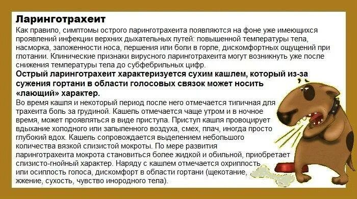 Сухой кашель у ребенка комаровский. Сухой кашель у ребенка симптомы. Нурофен сироп в турции. Ложный круп ларингит у детей. Сопли без температуры и без кашля у ребенка 2 года.