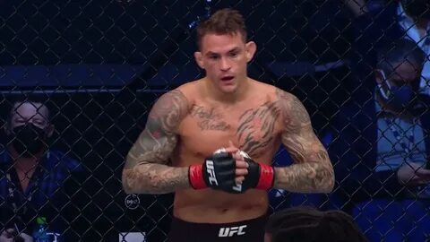 Ufc 257 прямая