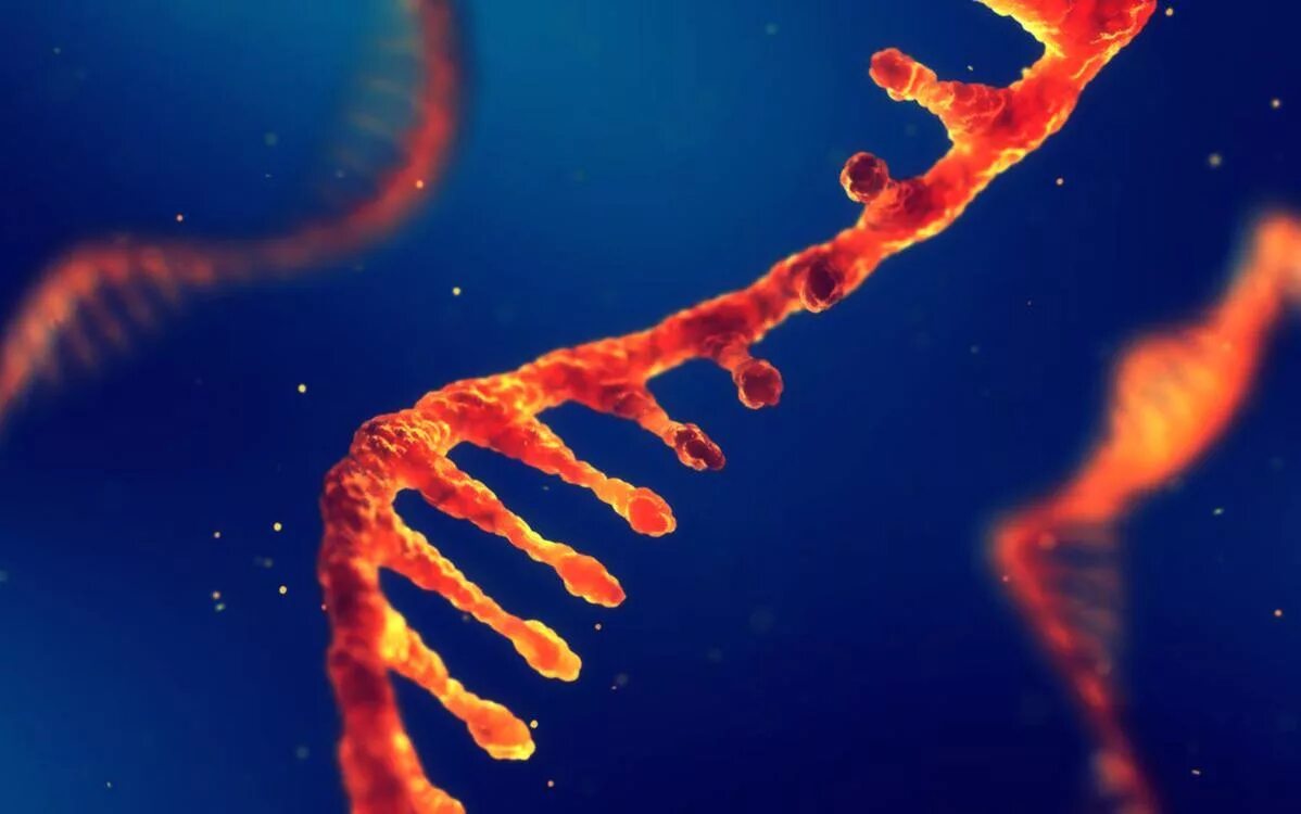 РНК фото. РНК под микроскопом. Зарождение жизни. Зарождение жизни РНК.