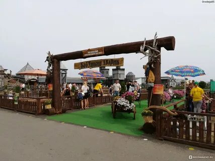 Парк диприз барановичи