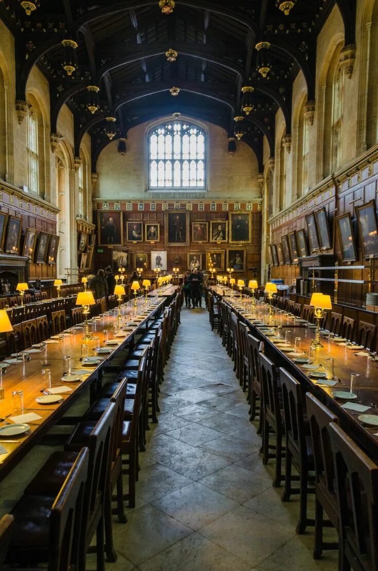 Harry potter course for university students