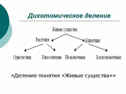Дихотомический это