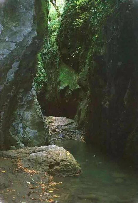 Свирское ущелье лазаревское. Свирское ущелье краснодарский край фото. Волконское ущелье лазаревское. Свирское ущелье каньон лазаревское. Свирское ущелье каньон лазаревское.