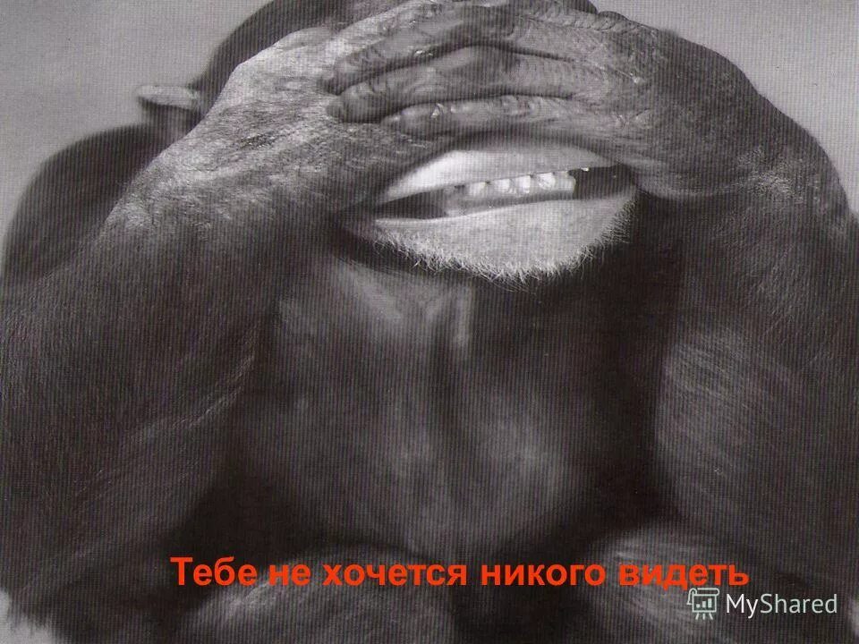 Не видим и не слышен