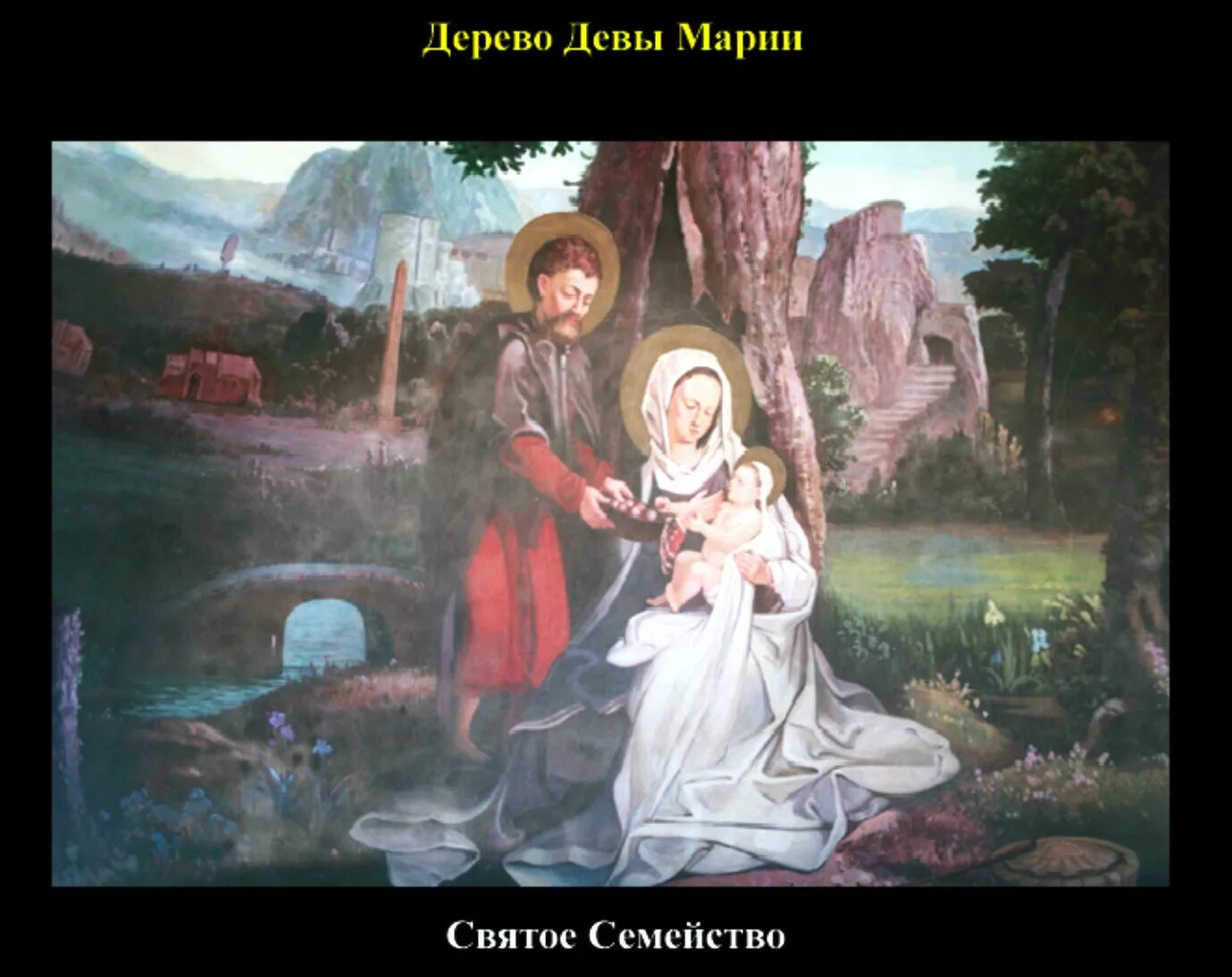 Дерево девы марии в египте. Каир дерево марии. Каир дерево марии. Персонаж дерево. Дерево девы.