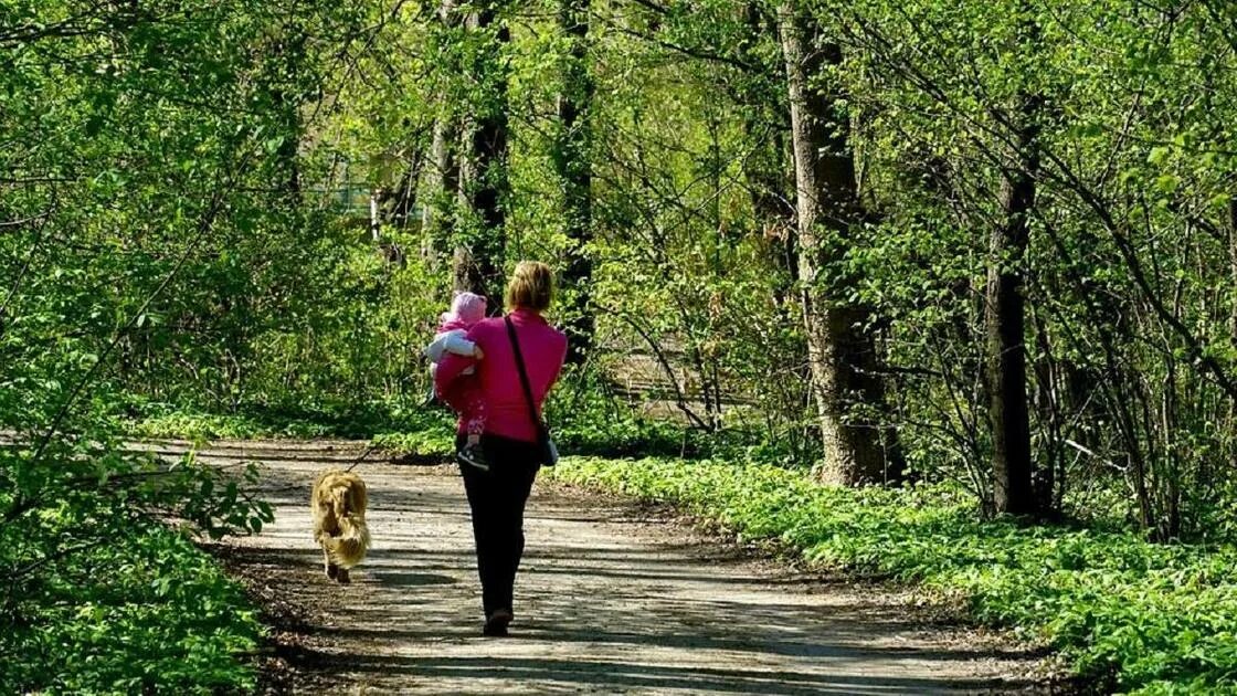 Родной сбежать. Женщина в парке. Женщина убегает в лесу. Женщина гуляет в городе. Дети убегают из дома.