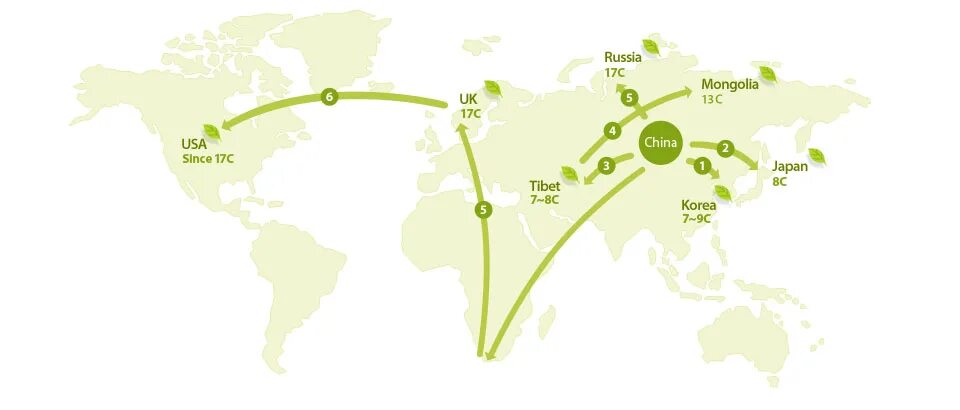 He all over the world. Карта распространения чая. Карта распространения чая по миру. Распространение чая. Распространение чая по миру.