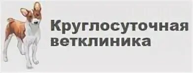 Чита круглосуточное