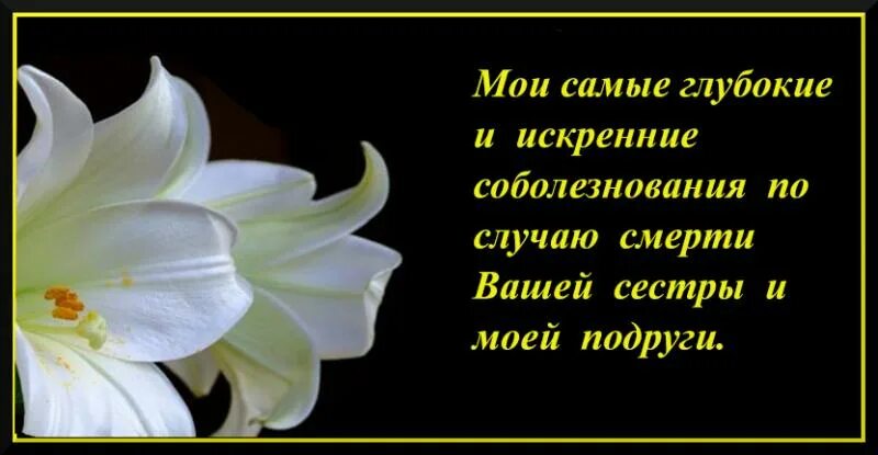 В память о подруге. Стихи памяти. Цитаты про ушедших родных. Слова подруге которая умершая. В память о подруге.