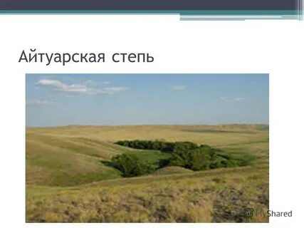Сыртовые ландшафты русской равнины