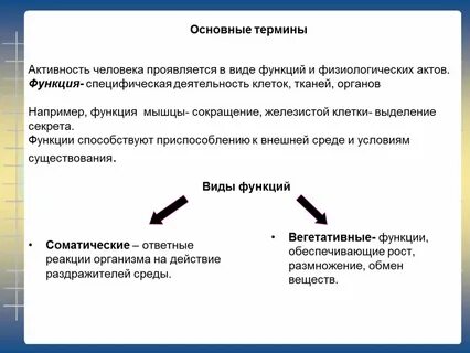 Физиологические акты
