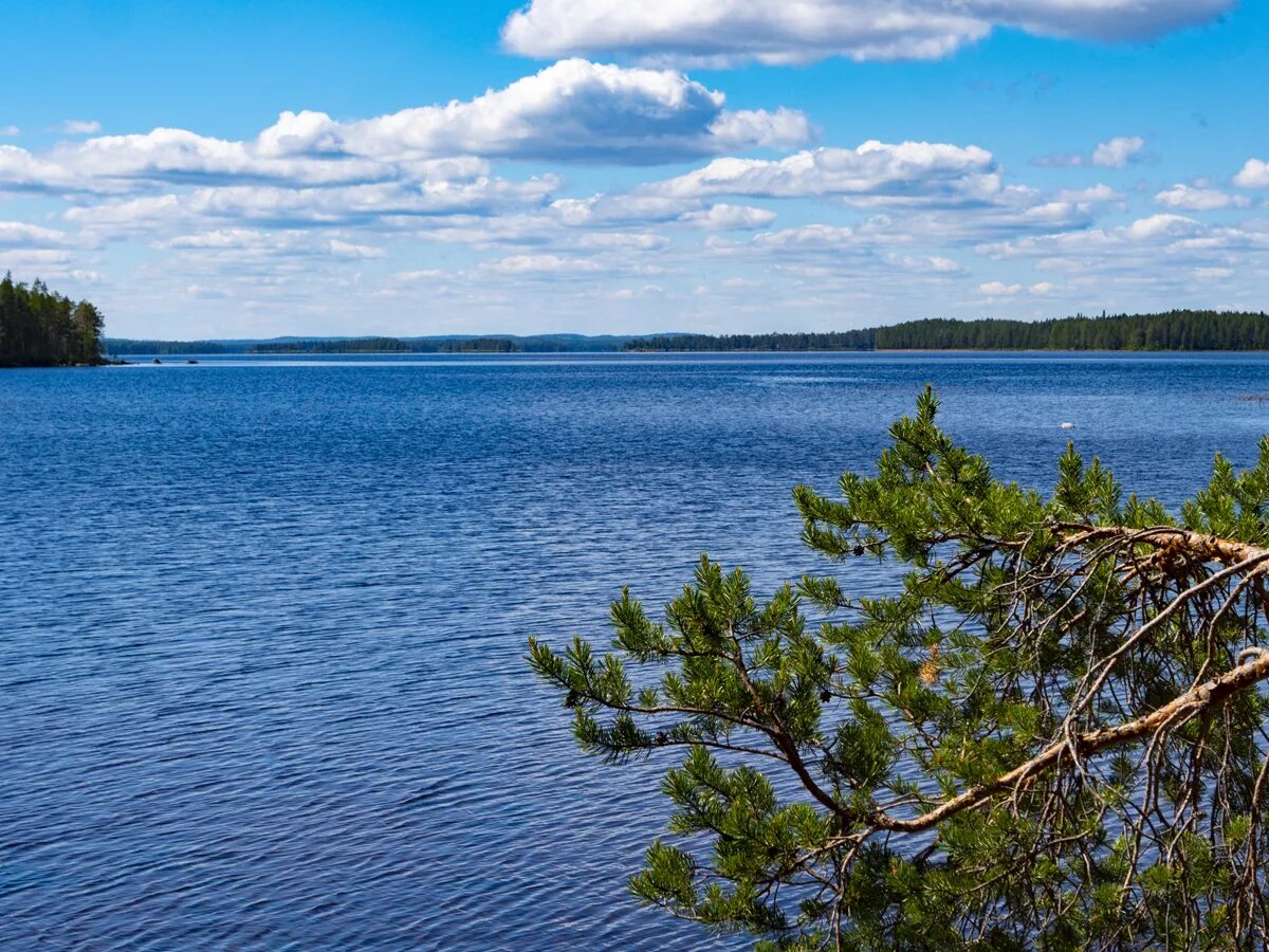 Озеро среднее озерное. Озеро Куйто Карелия. Озеро Куйто Калевала. Озеро верхнее Куйто. Озеро среднее Куйто Карелия.