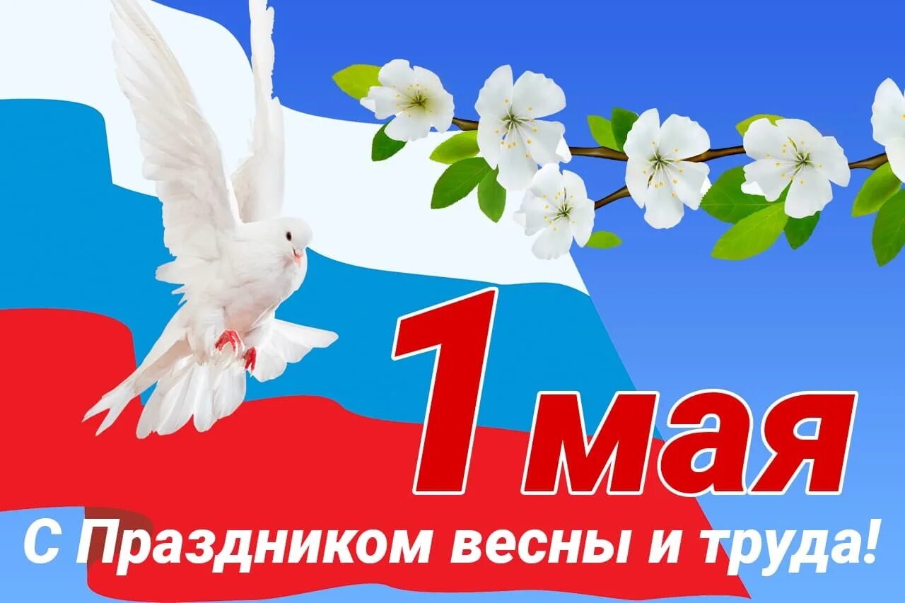 День рождения 1 мая 2025. 1 мая праздник весны и труда. 1 мая праздник. поздравление с 1 мая. с праздником весны 1 мая.