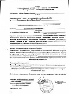 Образец заключения практики
