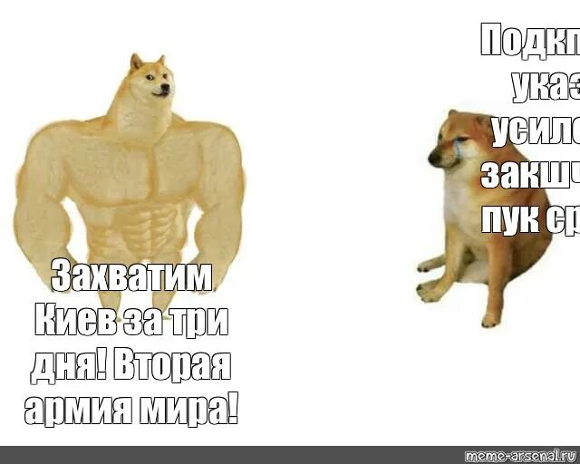 Говорите пук пук. Мем собака пук. Собака качок Мем. Пук пук среньк Мем. Волк качок Мем.