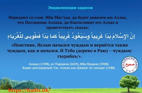 Аль бухари сады праведных книга. А. Аль джами ас сахих аль бухари. Хадис дня. Сахих аль бухари 4 том.