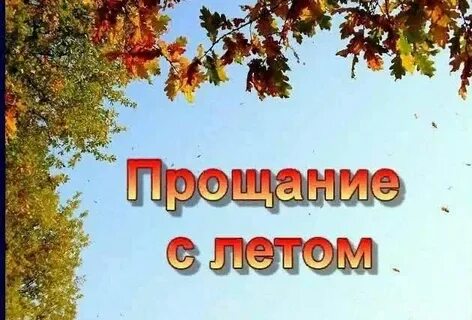 Лето прощай школа