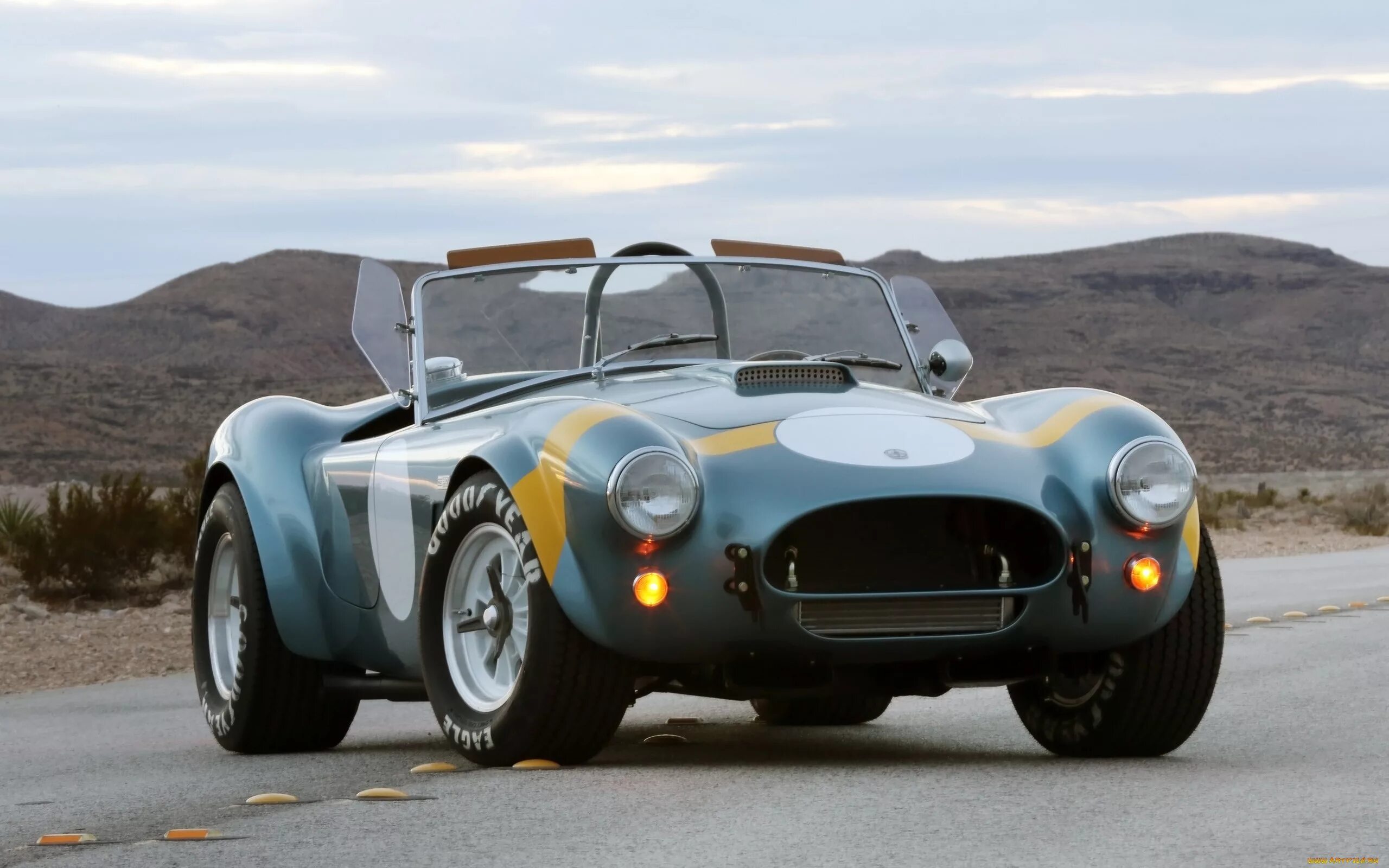 Cobra 50. Shelby Cobra 289. Shelby Cobra 289 FIA. Шелби Кобра 1965. Shelby Cobra 1964.