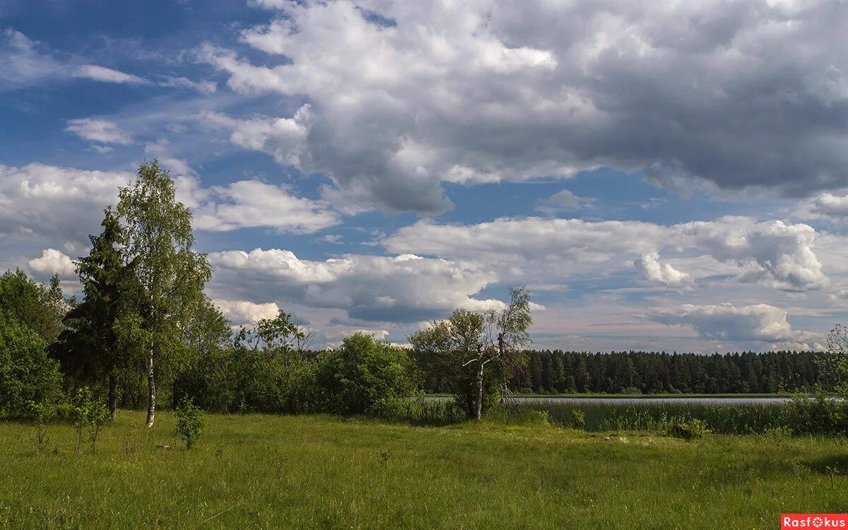 Пейзажи средней полосы. Включи средней полосы. Пейзажи среднерусской полосы. Река белоколодезь тульская область. Включи средней полосы.
