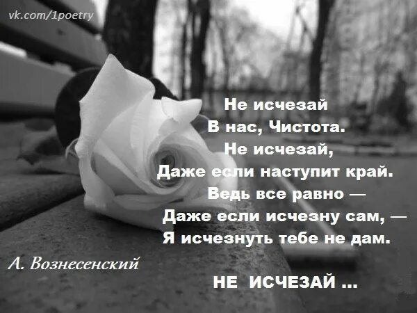 Парень резко пропал. Не исчезай стихи. Исчезни из моей жизни стихи. Цитаты исчезнуть из жизни. Исчезни цитаты.