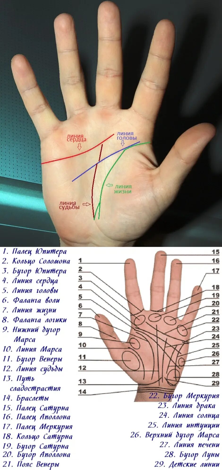 Хиромантия. Линии на руке. Хиромантия линии на руке. Болезни по линиям на ладони. По линиям на руке можно