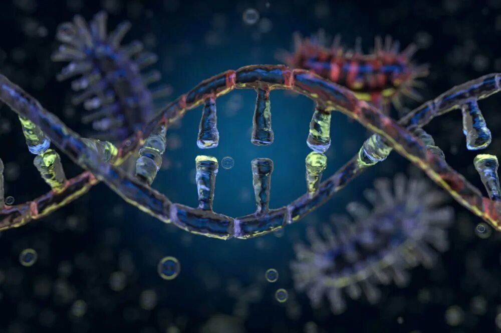Соединение в днк клетки. Коронавирус ДНК. Клетка ДНК. Клетка ДНК под микроскопом. Вирус внутри клетки.