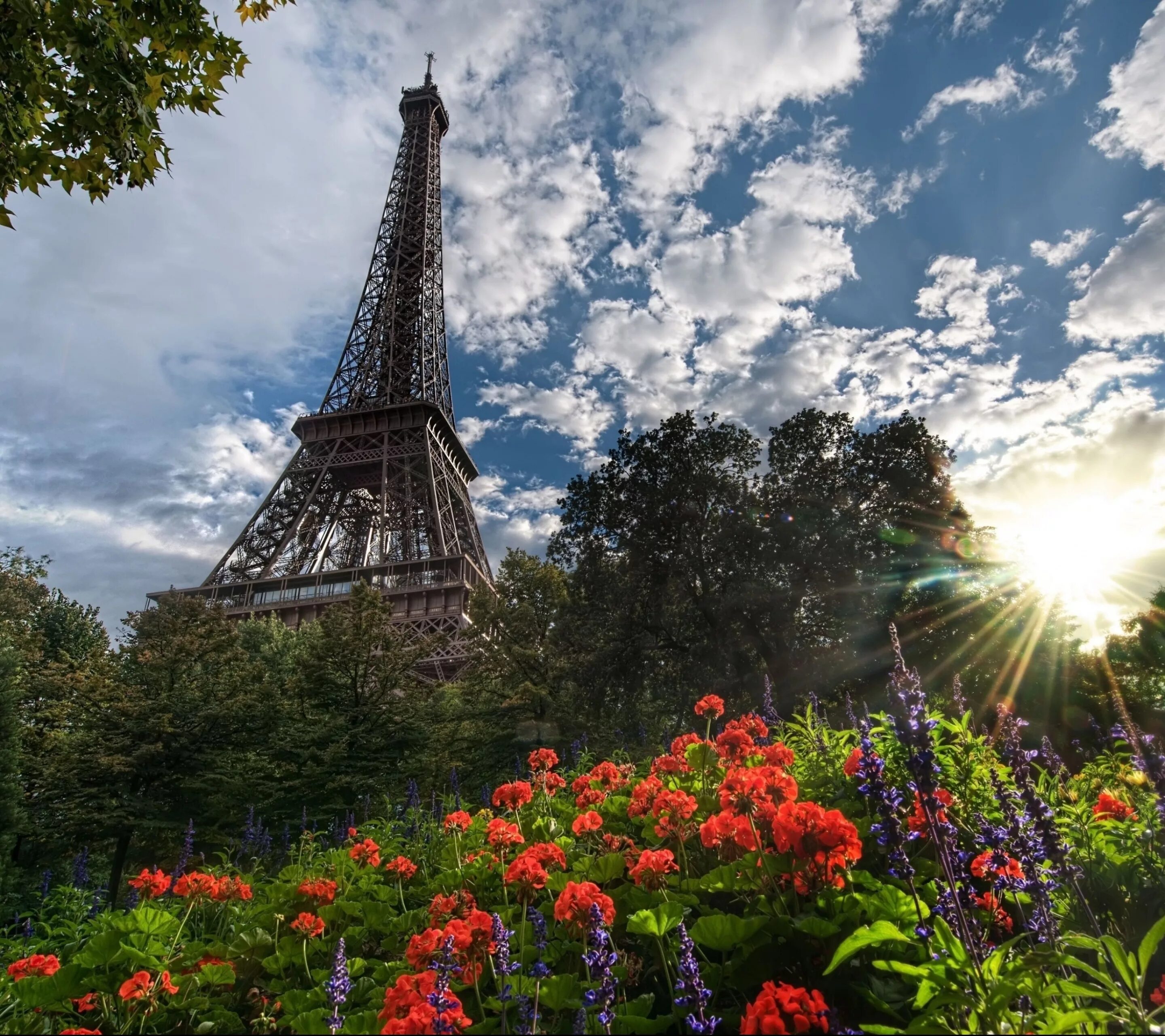 Красивые картинки на рабочий. Эйфелева башня в Париже. Франция эфельная башня. Париж эльфивая башня цветы. Эйфелева башня в Париже фото.