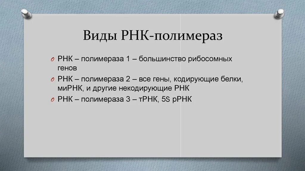 Характеристика РНК полимераз. РНК полимераза 1 функции. Типы РНК полимеразы. РНК полимераза виды.