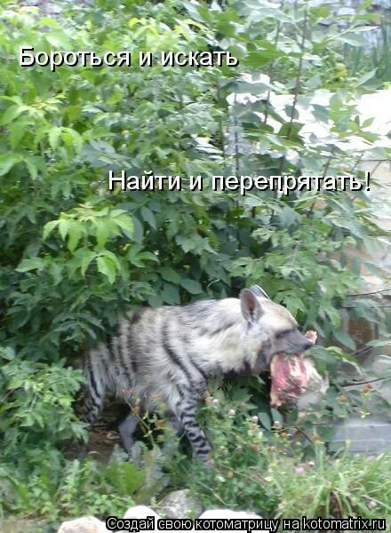 искать найти и перепрятать