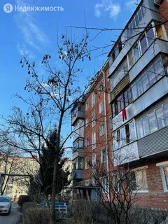 Краснодар фестивальный микрорайон улица имени тургенева
