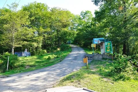 Погода краснодарский край воронцовке
