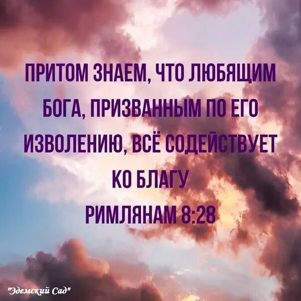 Все содействует ко благу. Любящим бога призванным по его. притом знаем что любящим бога призванным по его изволению. любящим бога все содействует ко благу к римлянам. любящим господа призванным по его изволению все содействует ко благу.