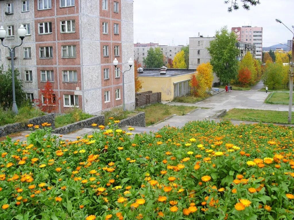 25/1. Мурманск улица полярные зори 33к1. Полярные зори улицы. Полярные зори нивский проспект 13. Ул пушкина полярные зори.