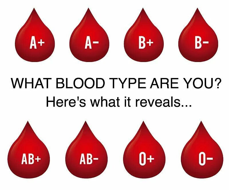 4 blood type. Blood types. Ab blood type. 4 blood type. Blood types 1 2 3 4.