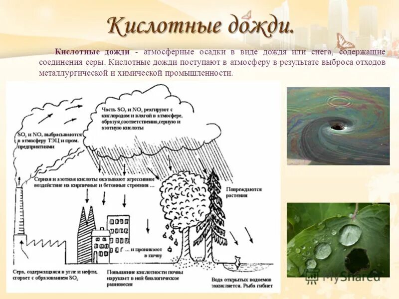 Кислотность осадков. Кислотные дожди. Кислотные осадки. Последствия образования кислотных осадков. Презентация на тему кислотные дожди.