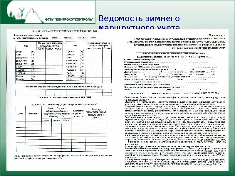 Виды учетов животных. Ведомость зимнего маршрутного учета бланк. карточка зимнего маршрутного учета охотничьих животных. карточка учета животных зму. методика проведения зимнего маршрутного учета.
