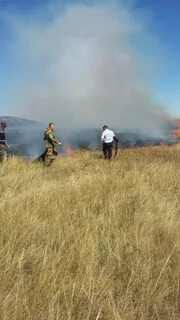 Рп5 кваркено на неделю