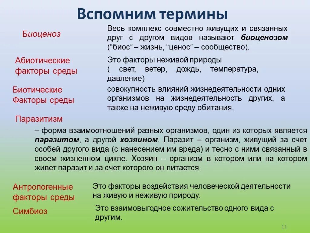 Факторы среды 11 класс презентация